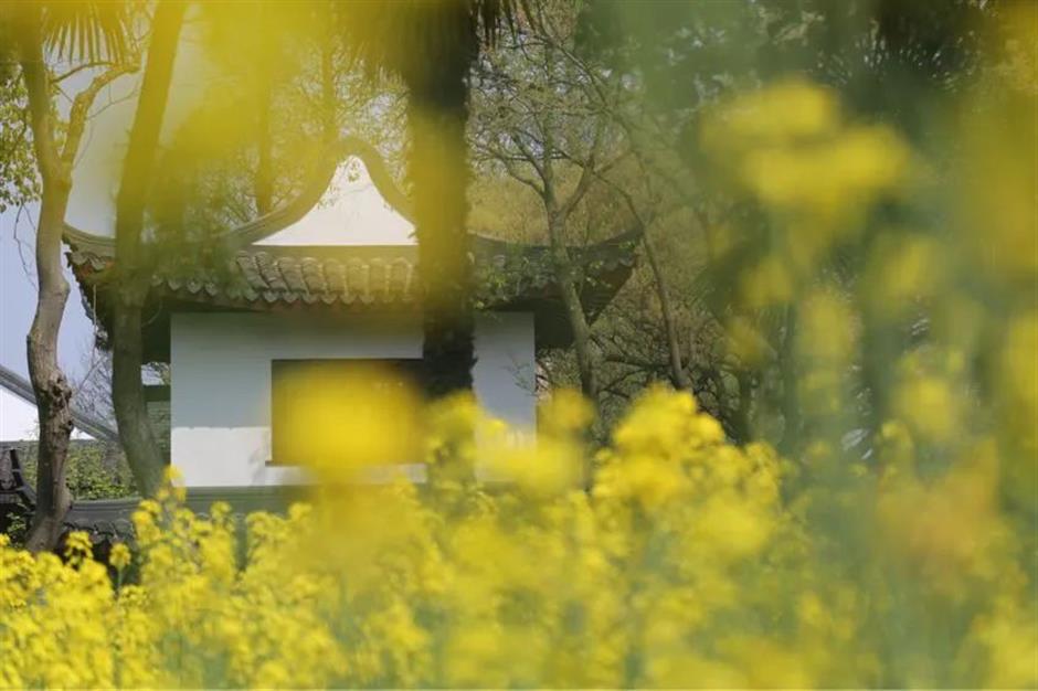 地铁直达!8座春游正当时的古镇