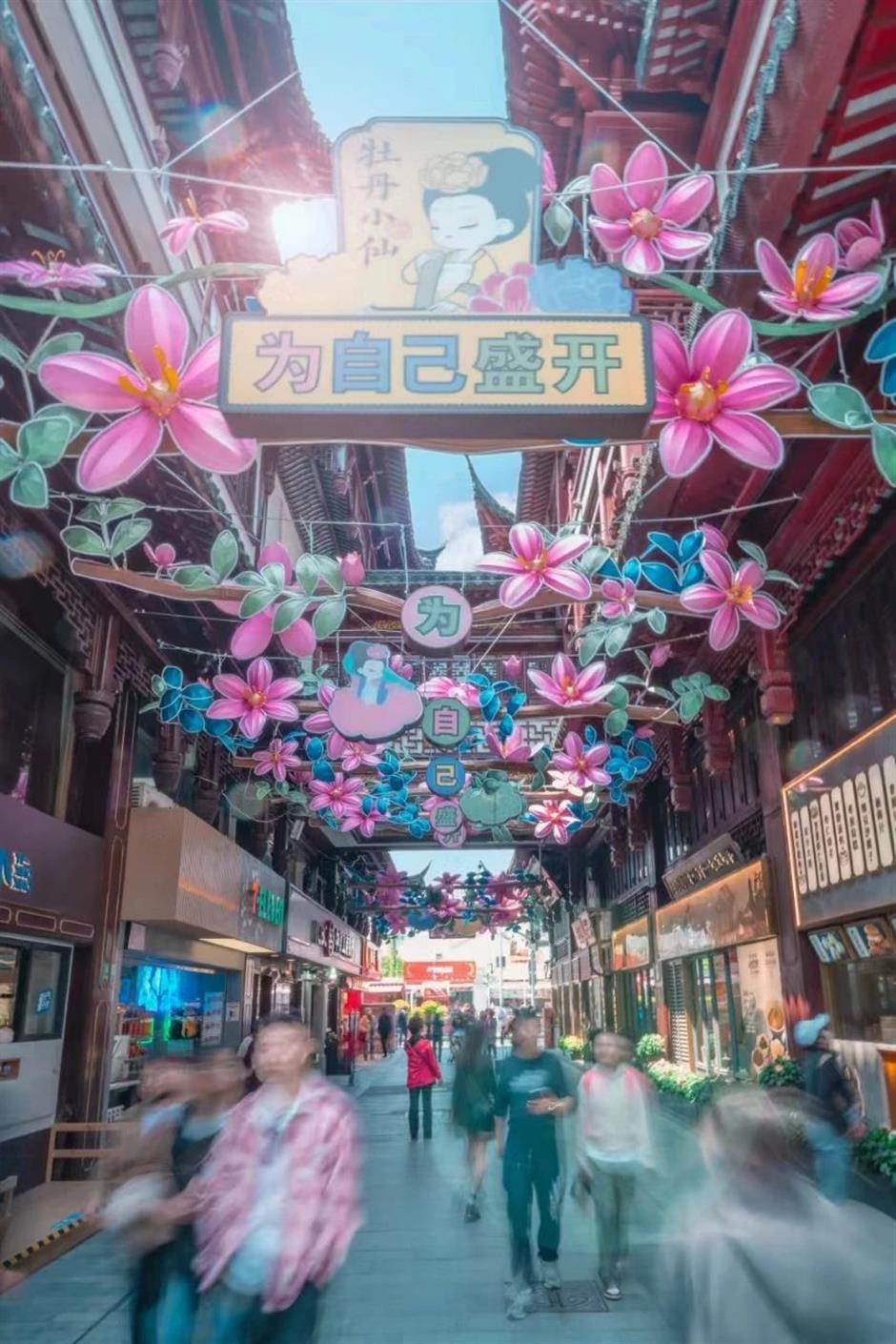 惊艳!百年九曲桥开出一朵巨型牡丹