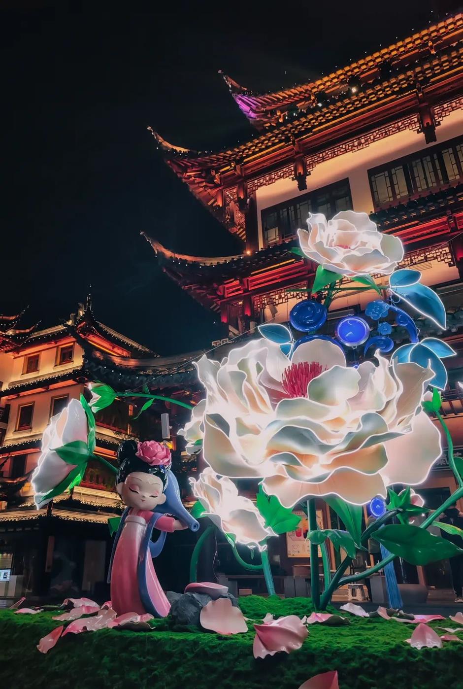 惊艳!百年九曲桥开出一朵巨型牡丹