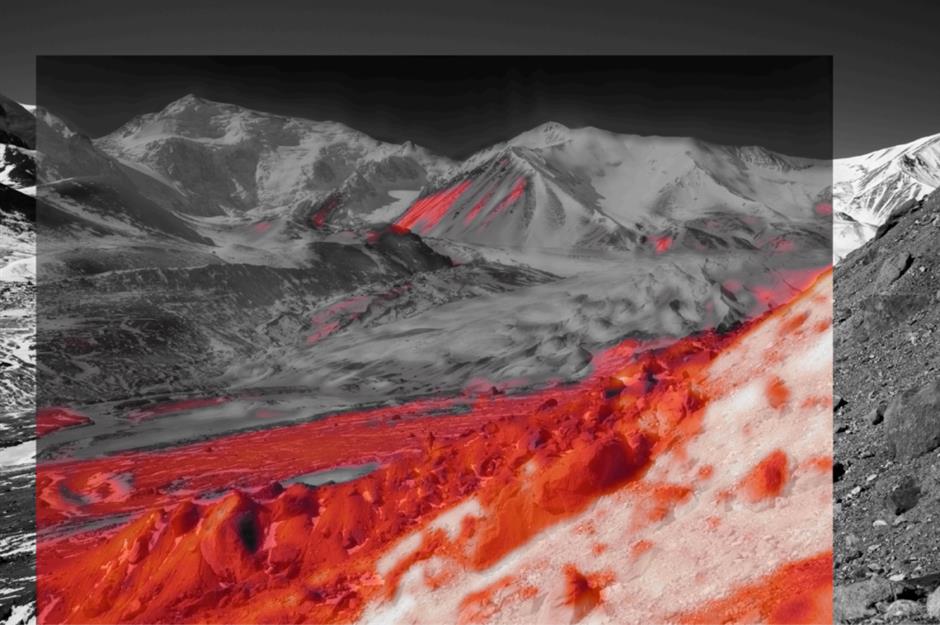 一馆四展!又有新展