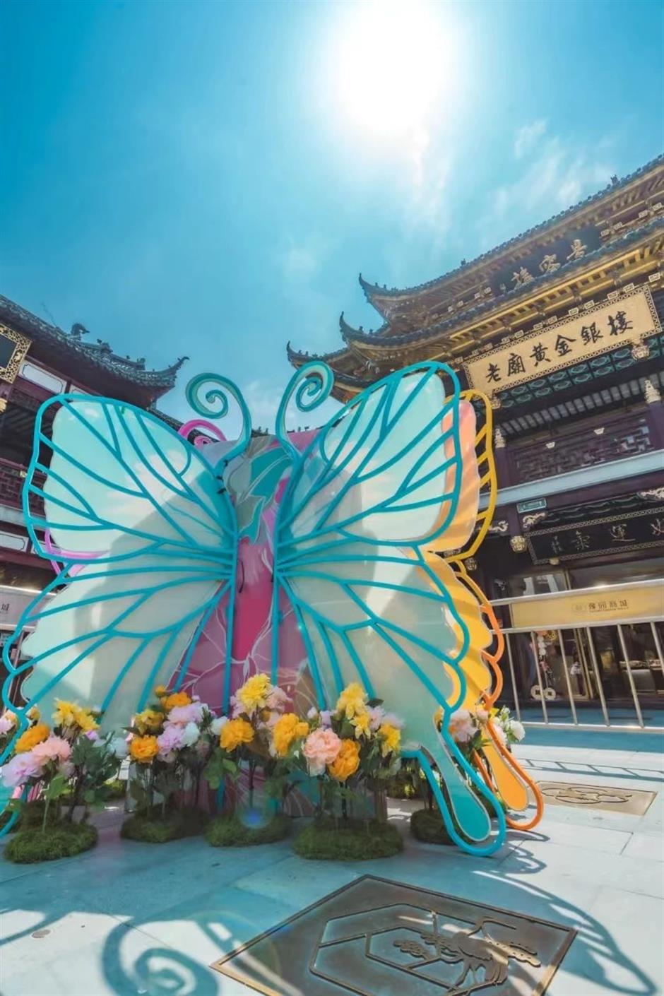 惊艳!百年九曲桥开出一朵巨型牡丹