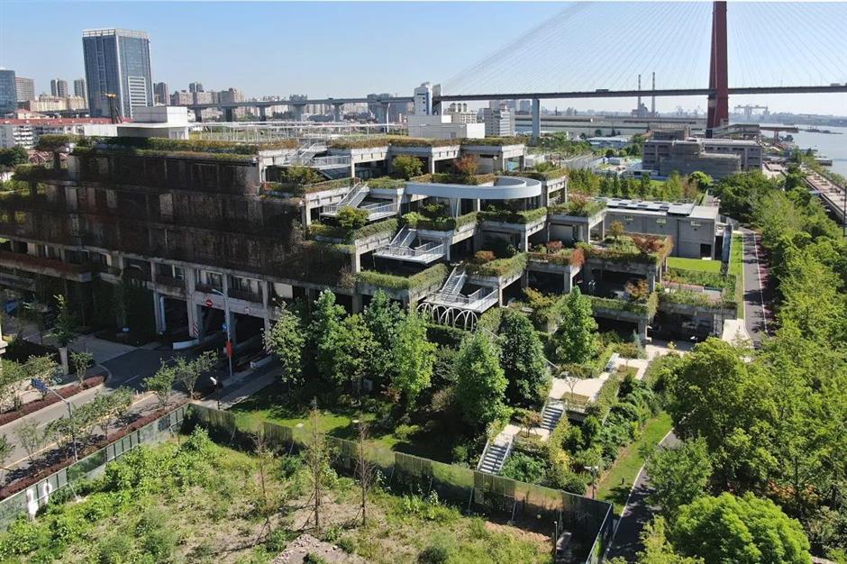 在杨浦滨江，感受人民城市暖意
家门口的好去处citywalk线路