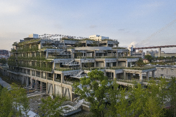 在杨浦滨江，感受人民城市暖意
家门口的好去处citywalk线路