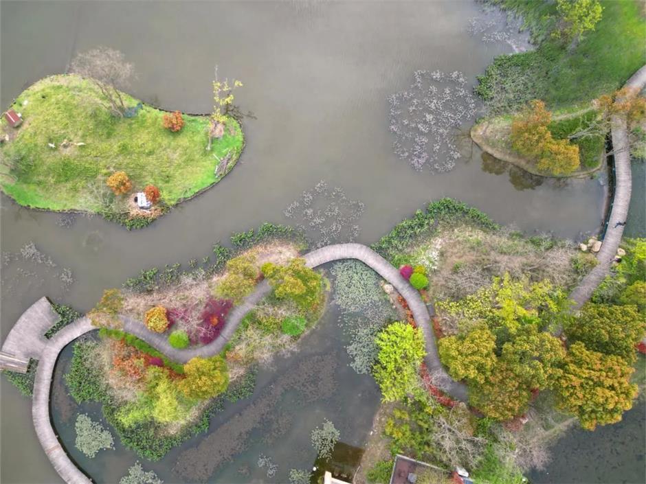 好玩好逛,春日治愈系被这里承包了