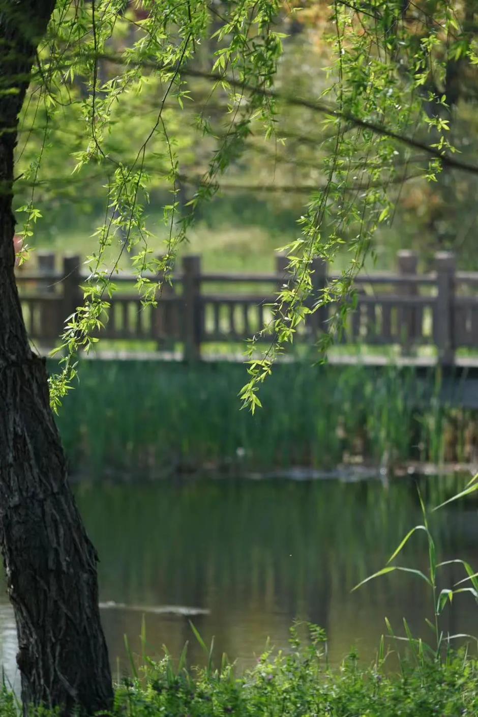 好玩好逛,春日治愈系被这里承包了
