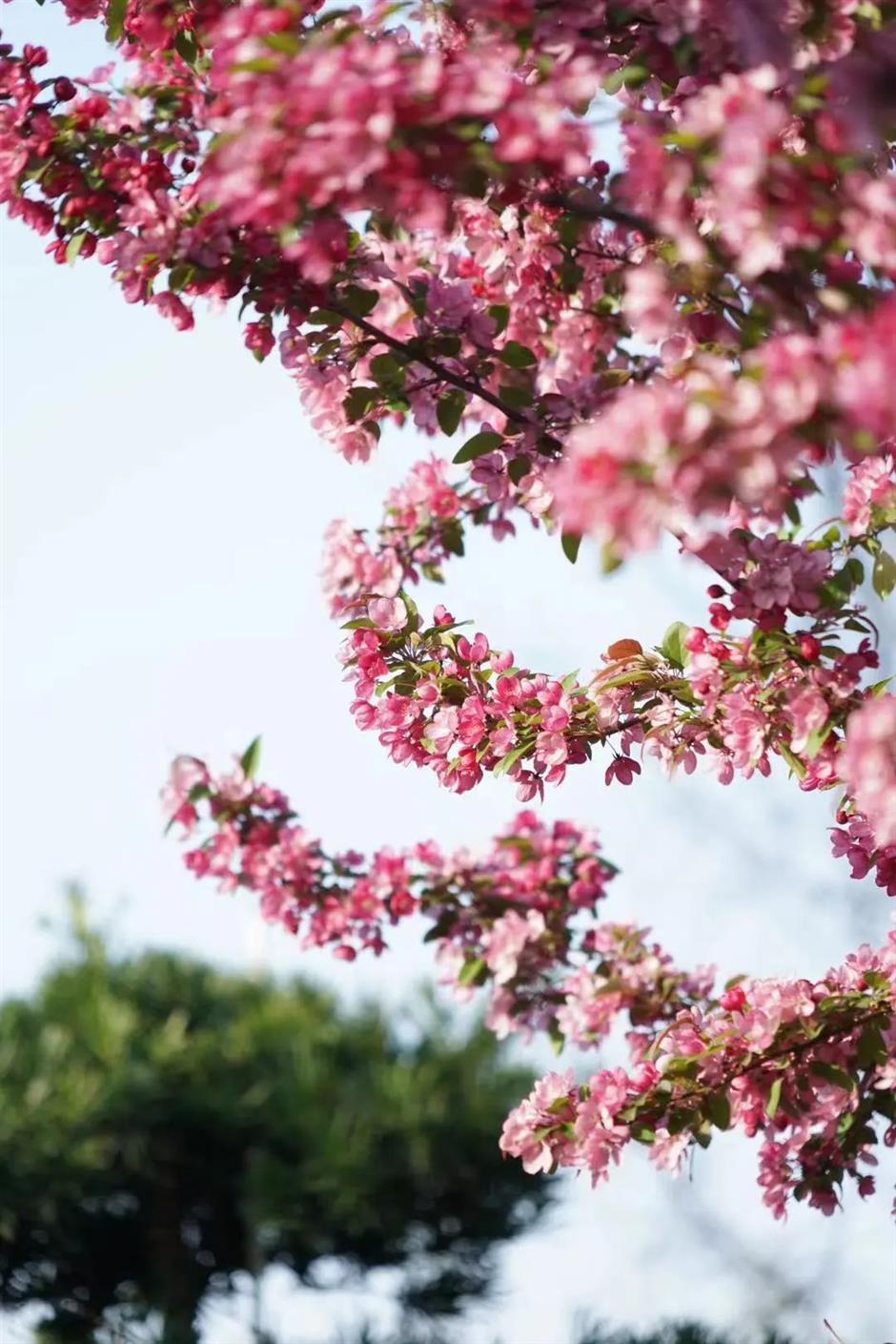 好玩好逛,春日治愈系被这里承包了