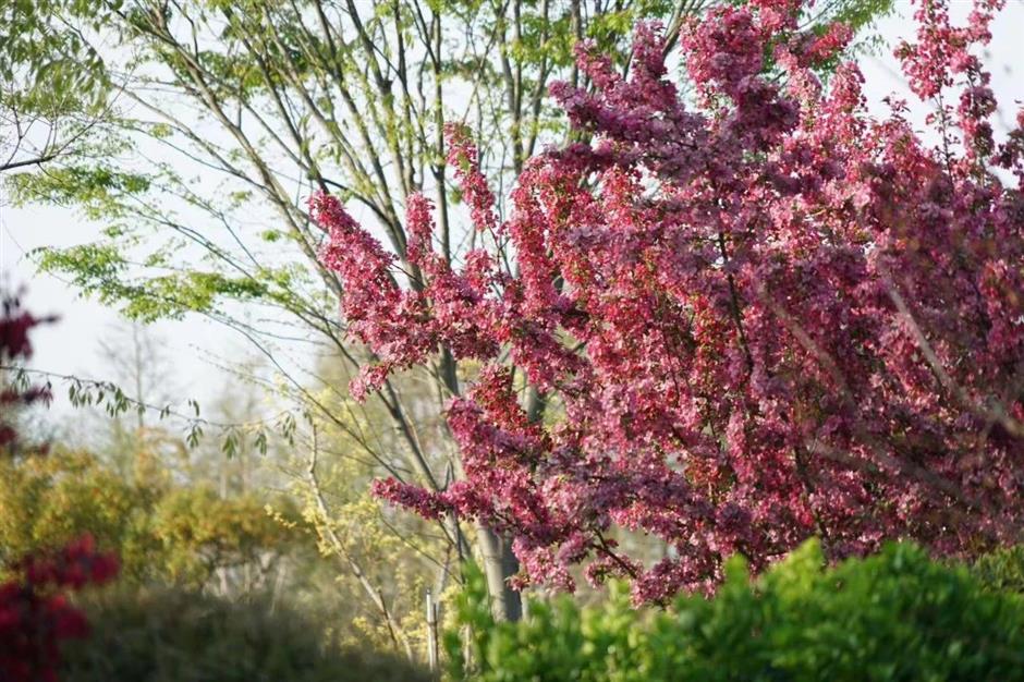 好玩好逛,春日治愈系被这里承包了