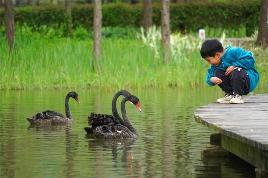 好玩好逛,春日治愈系被这里承包了