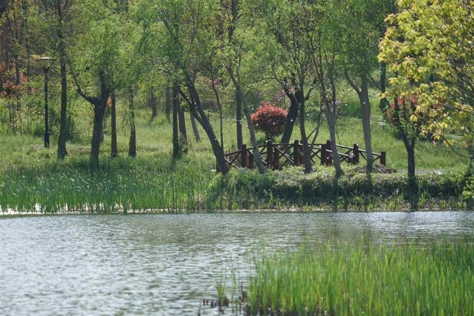 好玩好逛,春日治愈系被这里承包了