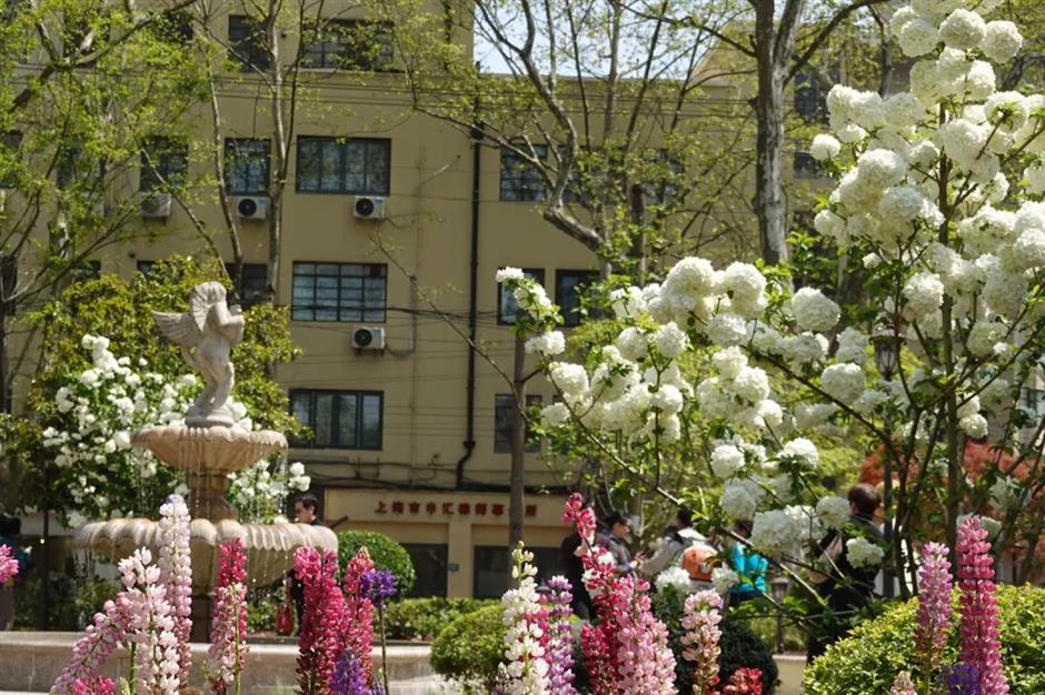 小马路上的小花园,串起一条citywalk线路