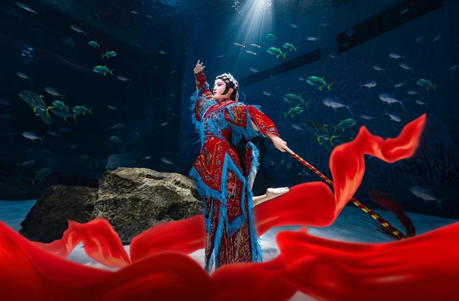 神仙打架!顏值起飛!來看美人魚國際大賽吧~