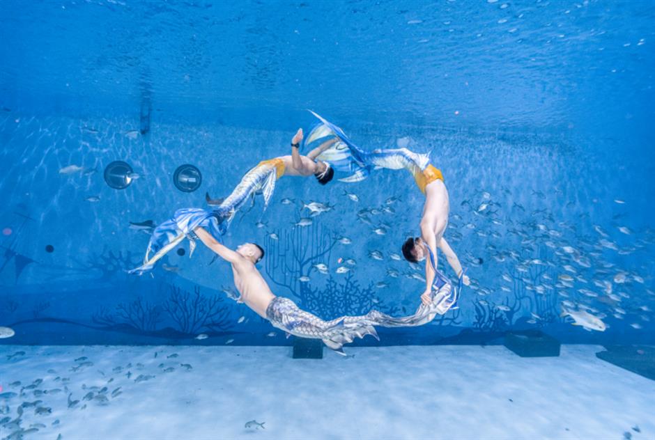 神仙打架!顏值起飛!來看美人魚國際大賽吧~