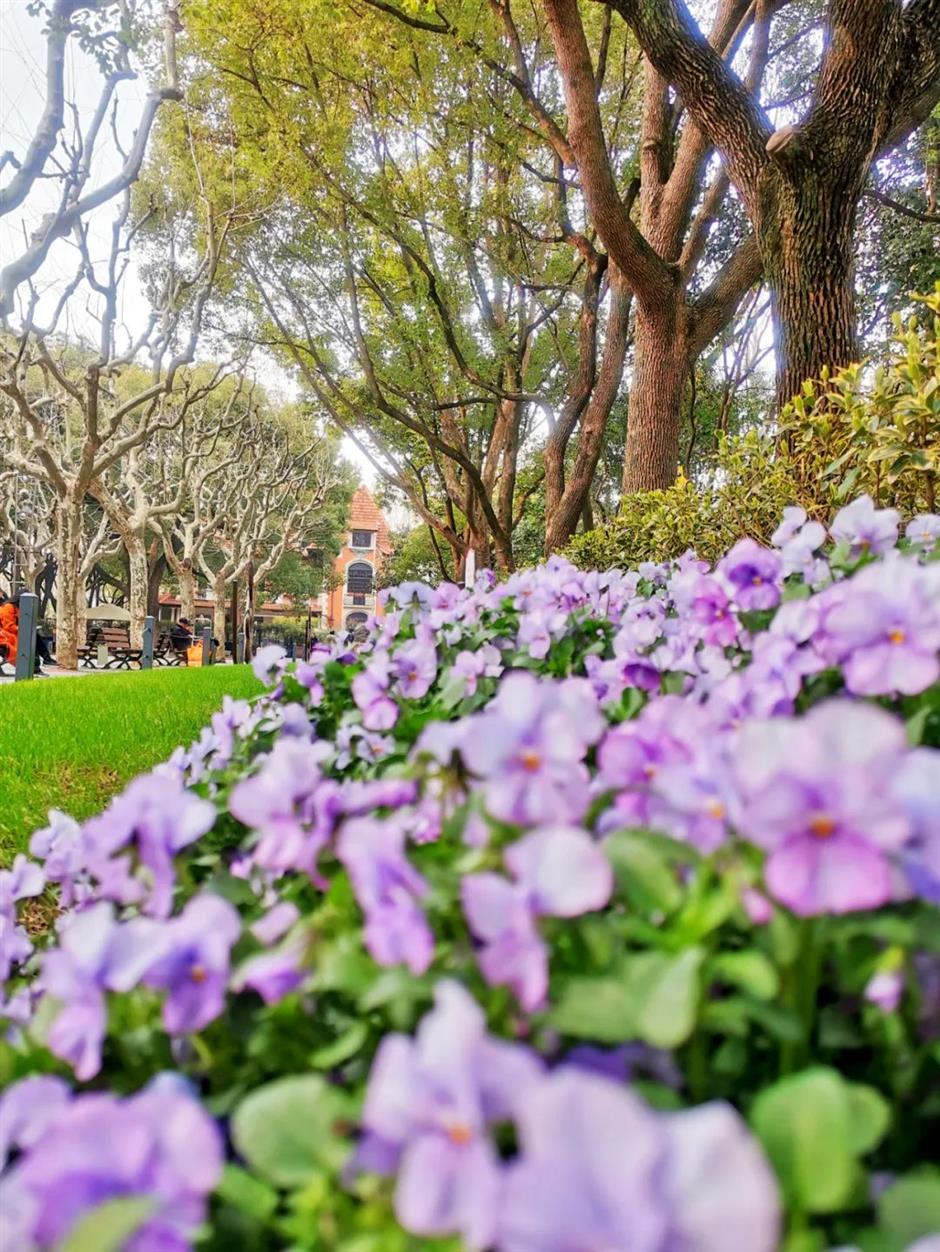 小马路上的小花园,串起一条citywalk线路