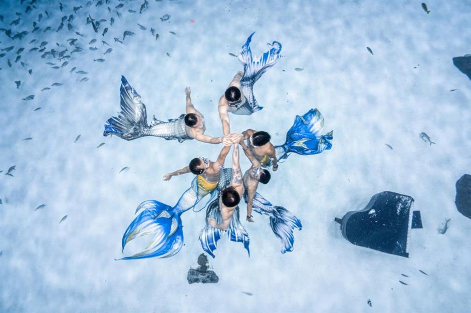 神仙打架!顏值起飛!來看美人魚國際大賽吧~