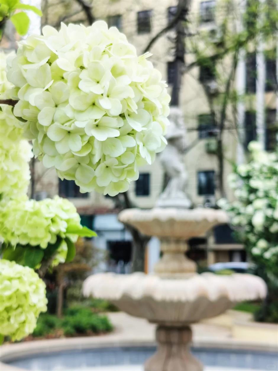 小马路上的小花园,串起一条citywalk线路