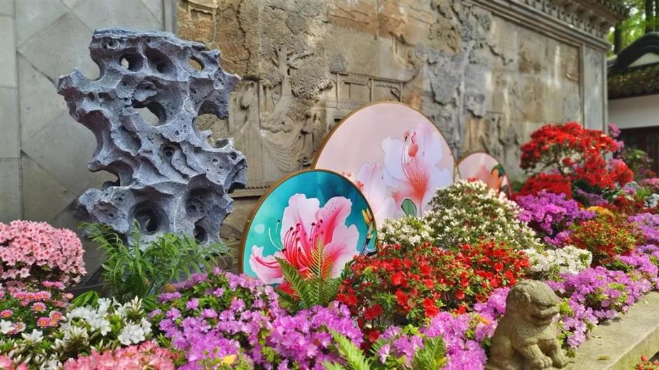 上海景区春日玩法又上新