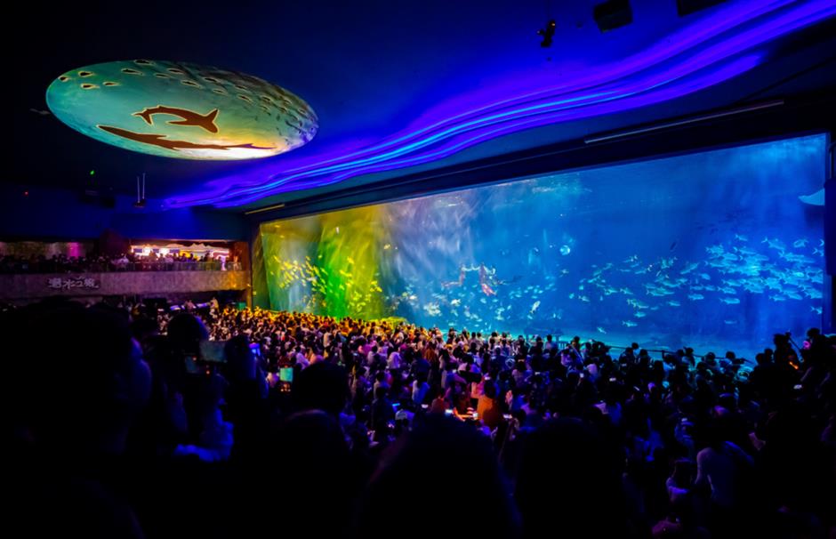 神仙打架!顏值起飛!來看美人魚國際大賽吧~