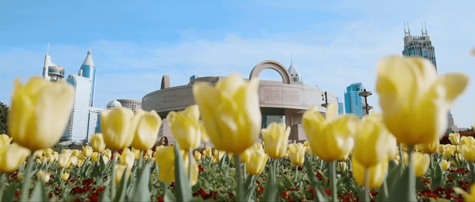 公告|4月19日起,上海博物馆進一步優化預約規則