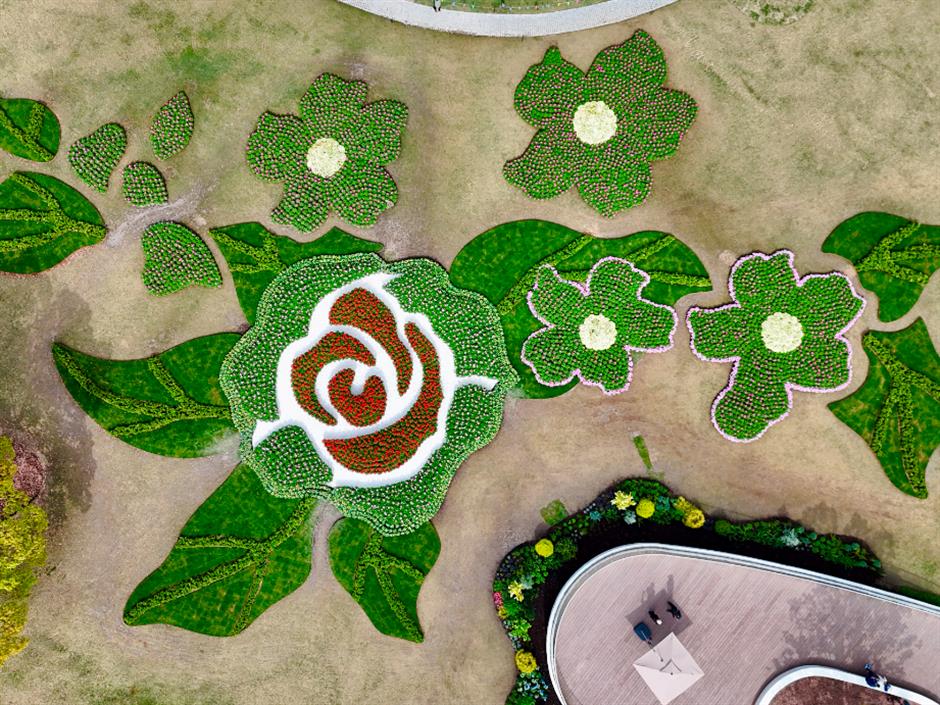 大片来袭!2024上海(国际)花展如期而至