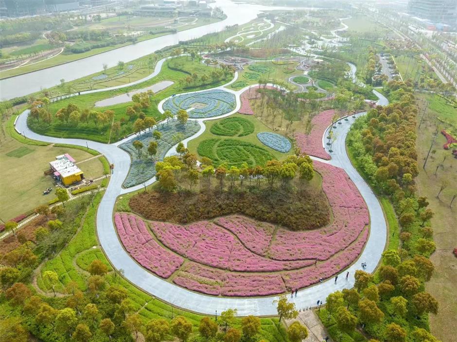 大片来袭!2024上海(国际)花展如期而至