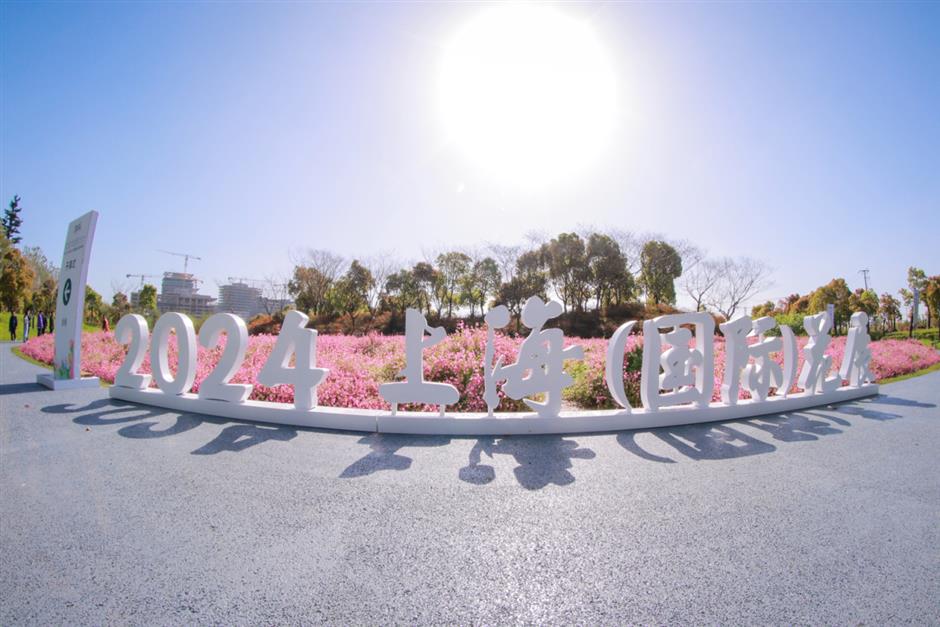 大片来袭!2024上海(国际)花展如期而至