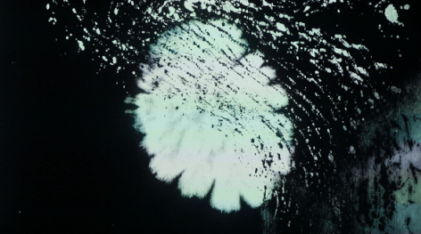 免费!大烟囱新展上线→