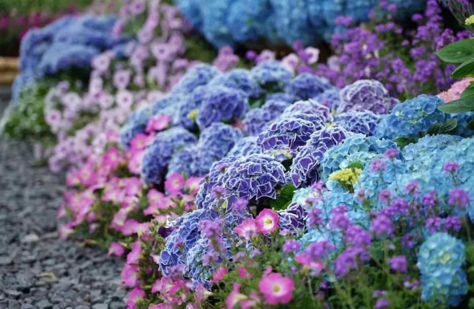 新景新变化!这些地方不一样了