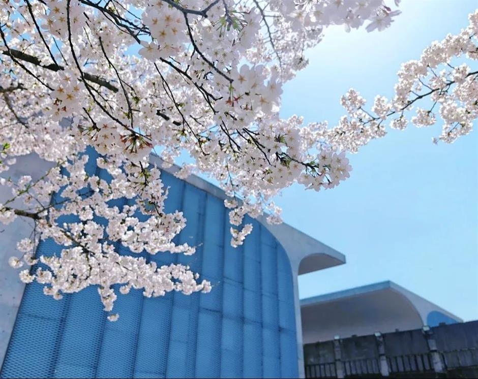 看遍近期重磅美展, 「一江一河」藝術之旅