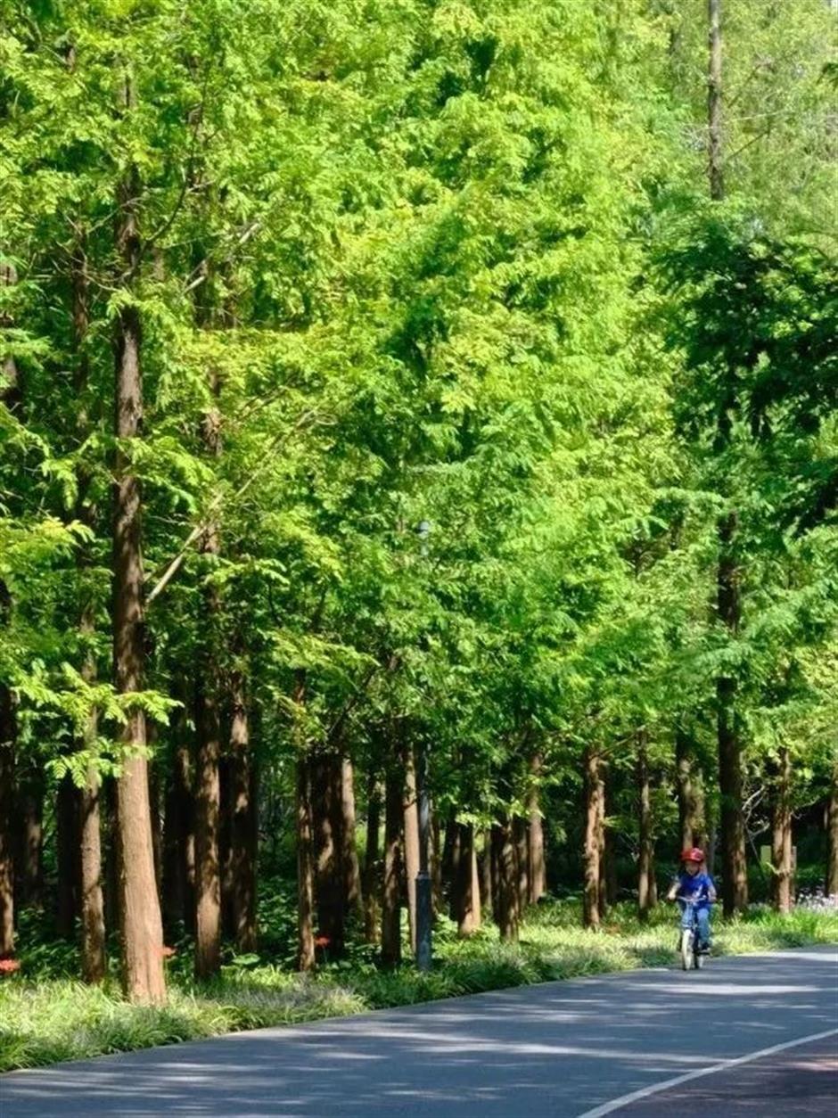 春日宝藏骑行路线,现在就出发→