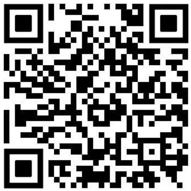 龍華廟會來啦!更多新鮮體驗邀您共賞