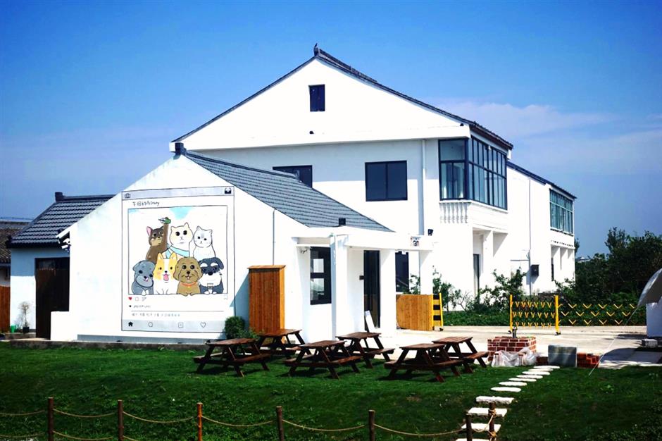 乐游上海·五一|出游好去处,来