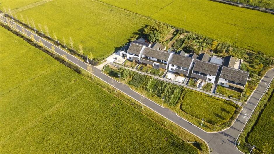 乐游上海·五一|出游好去处,来