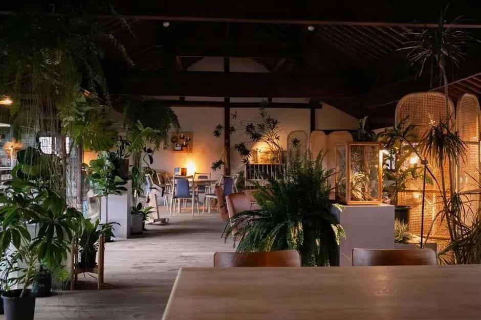 乐游上海·五一|出游好去处,来