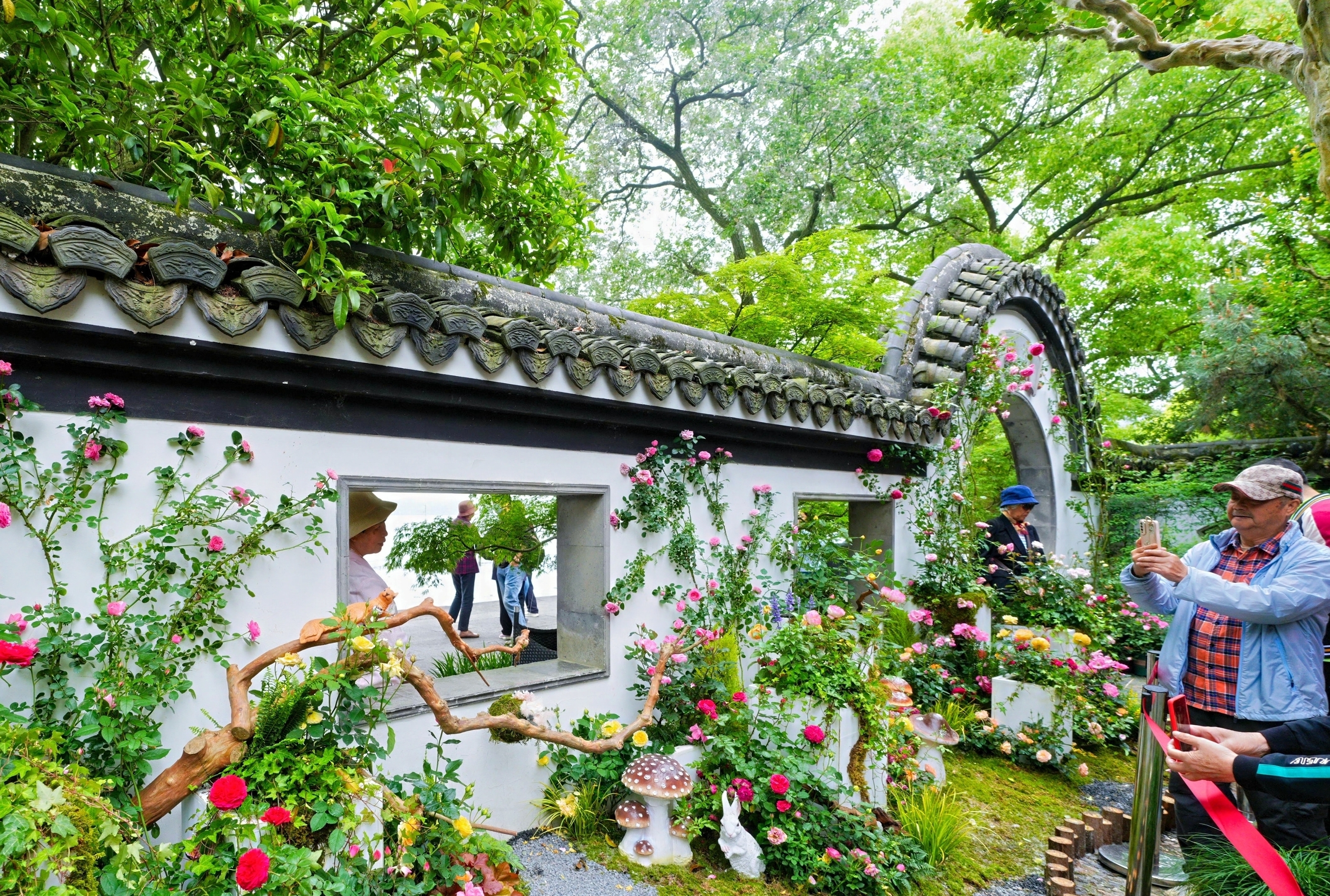 Roses exhibition in full bloom in Hangzhou - City News Service