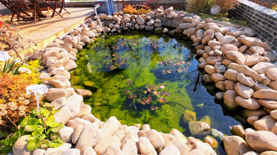 乐游上海·五一|出游好去处,来