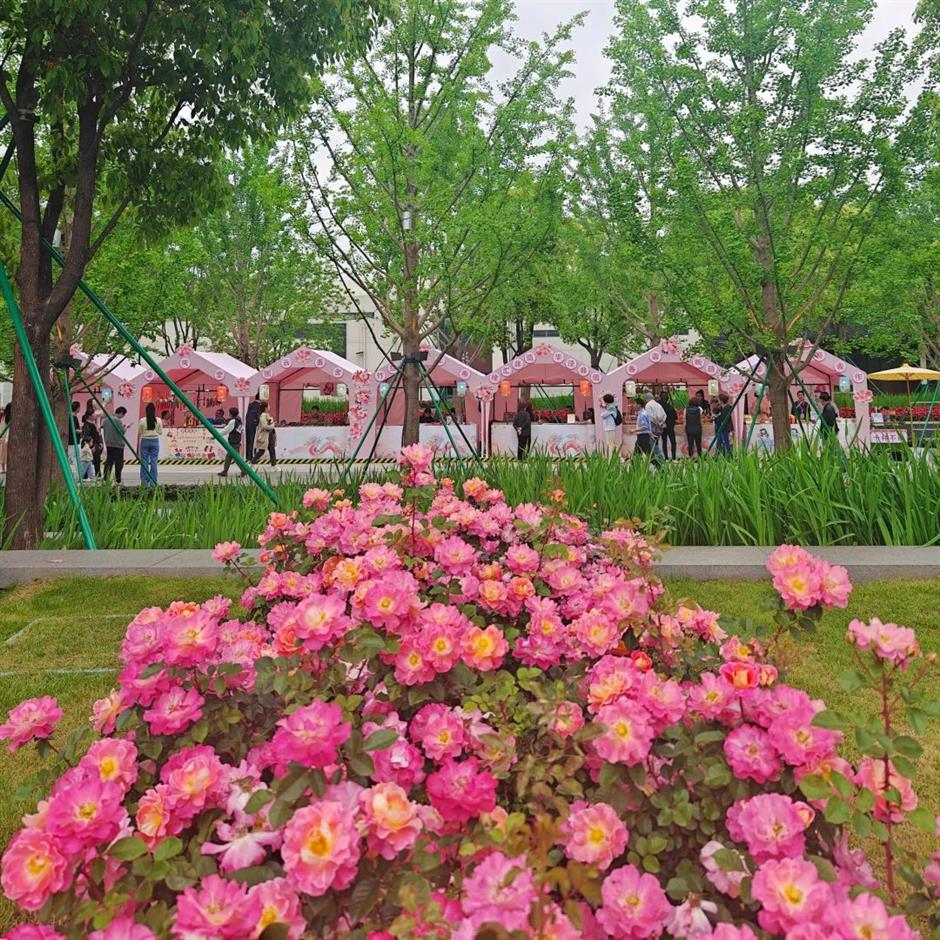 古韵海派交融,全域共生联动!2024上海龙华庙会启幕→