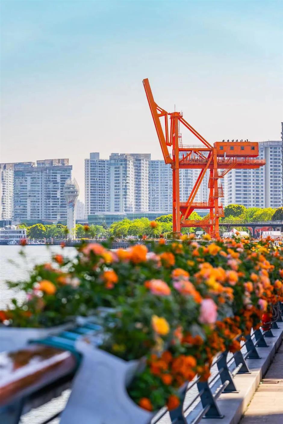 来一场徐汇假日Citywalk!