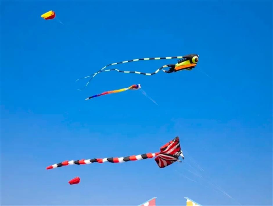 春日宜放风筝,收下这份指南