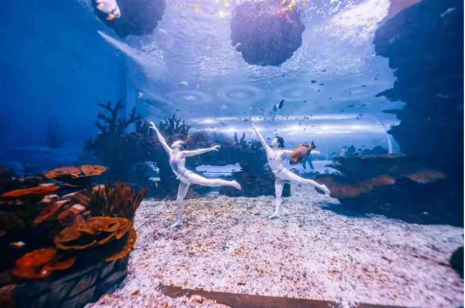 乐游上海·五一: 赏烟花、看虎鲸、观人鱼、遇国风