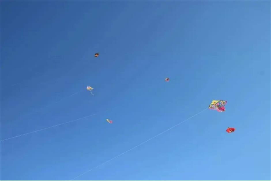 春日宜放风筝,收下这份指南