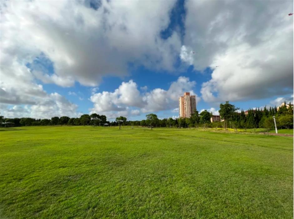 春日宜放风筝,收下这份指南