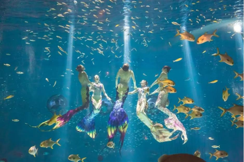 乐游上海·五一: 赏烟花、看虎鲸、观人鱼、遇国风