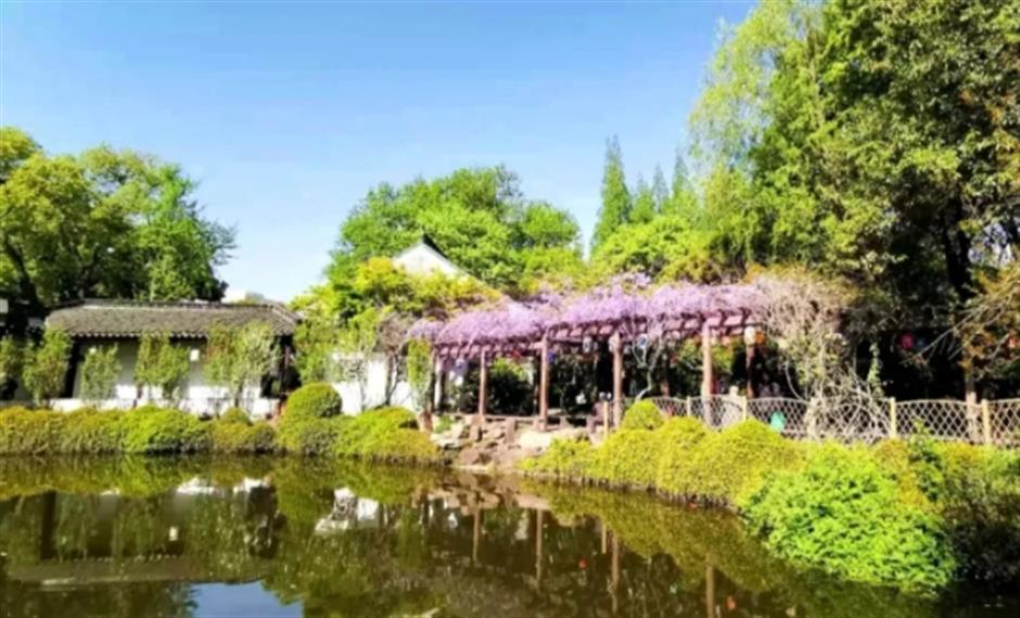 下一個春日頂流,肯定是TA!