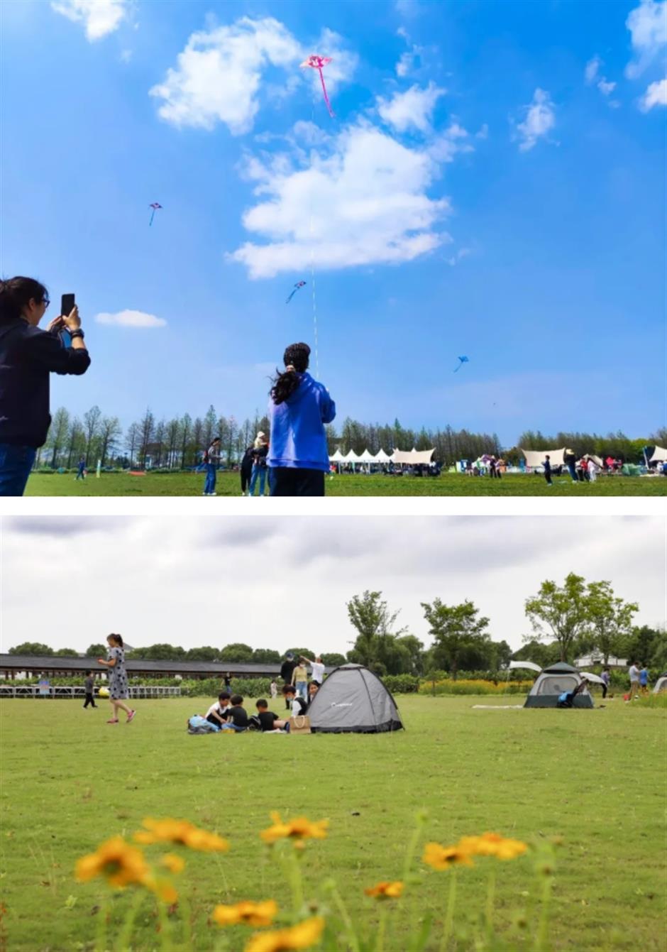 春日宜放风筝,收下这份指南