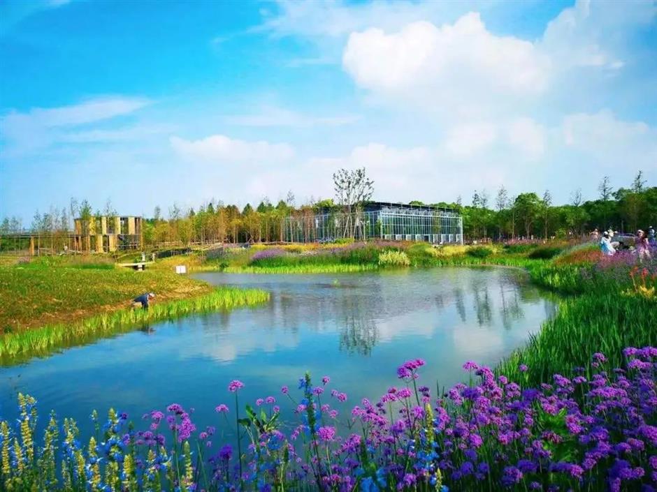 不出上海,独享这片湖泊森林