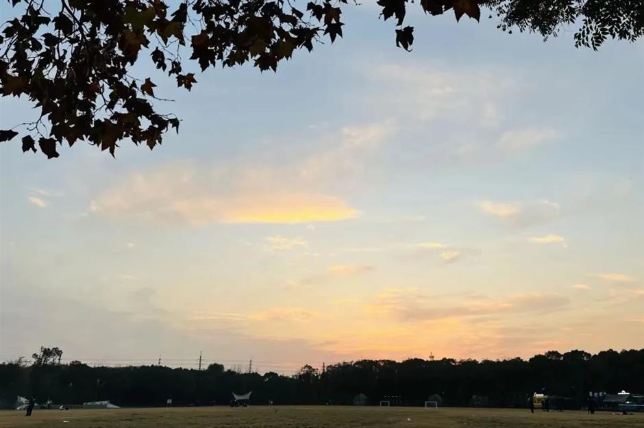 不出上海,独享这片湖泊森林