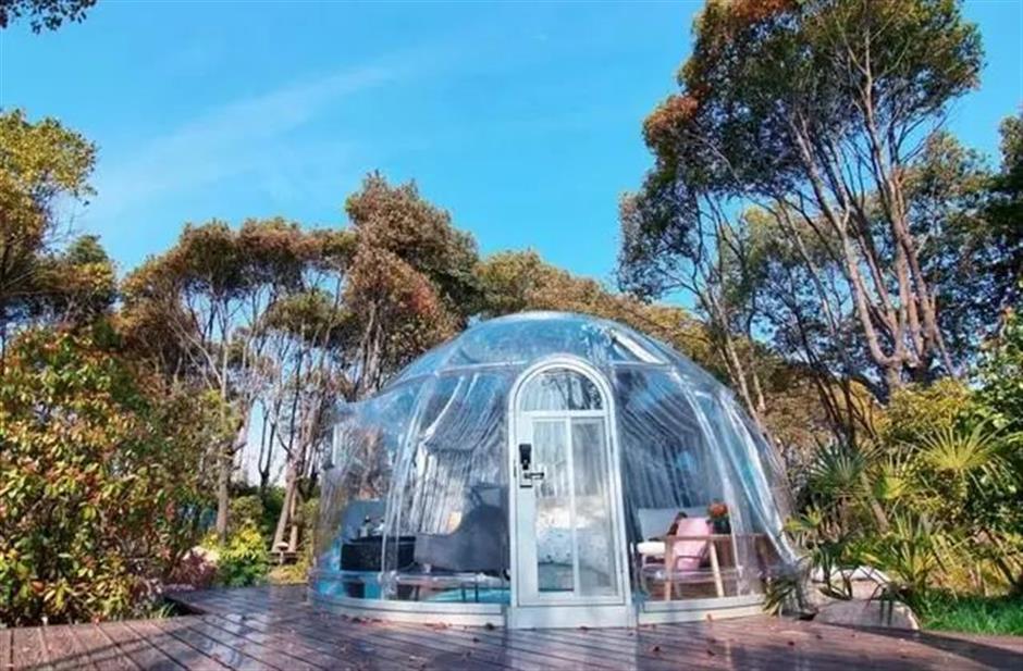 不出上海,独享这片湖泊森林