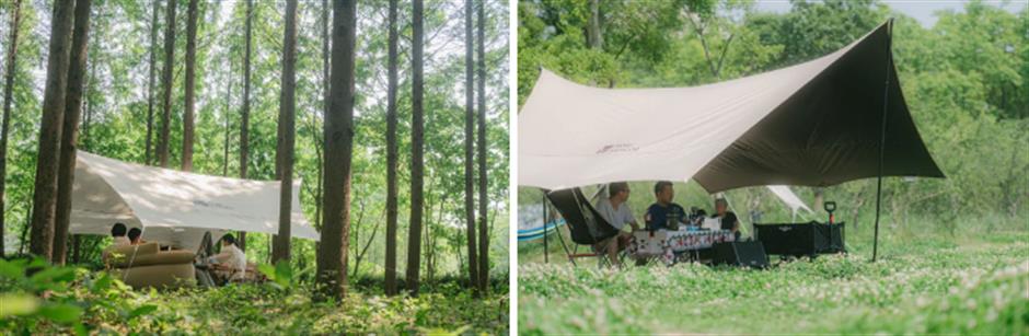 不出上海,独享这片湖泊森林