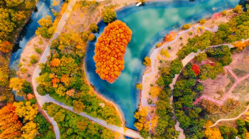 不出上海,独享这片湖泊森林