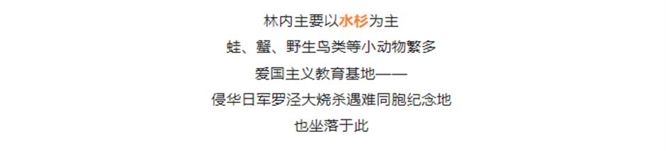 不出上海,独享这片湖泊森林